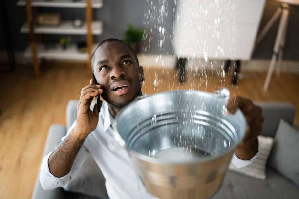 Best Flooded house restoration  in River Bend, NC