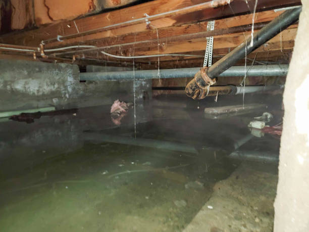 Professional Water damage restoration in NC