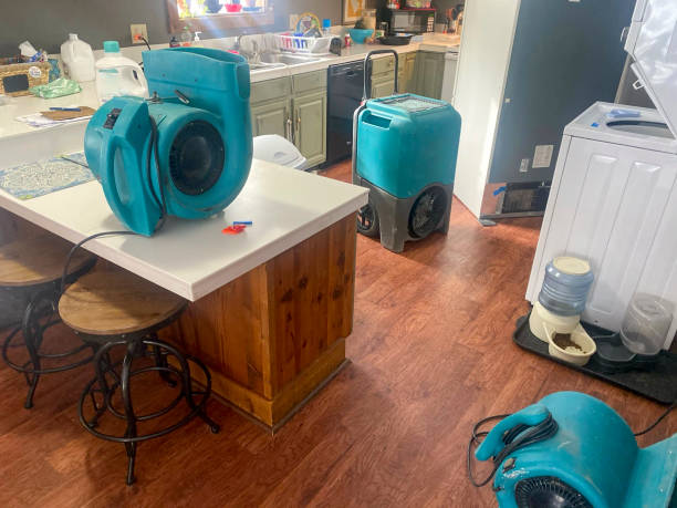 Best Water damage contractors near me  in River Bend, NC