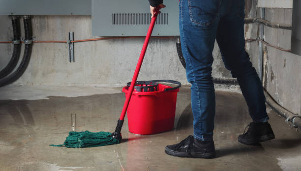 Best Flood restoration services  in River Bend, NC