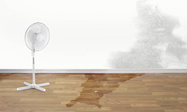 Best Basement water damage restoration  in River Bend, NC