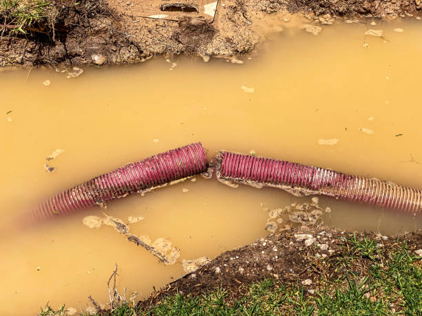  River Bend, NC Water damage restoration Pros